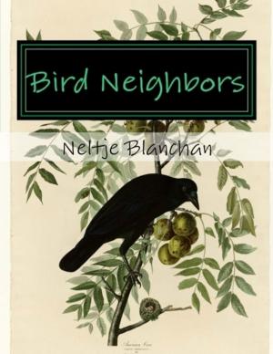 Book cover of Bird Neighbors (Illustrated)