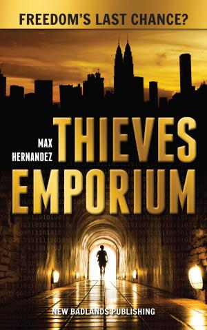 Cover of the book Thieves Emporium by Vikki Romano