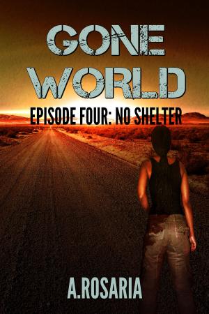 Book cover of Gone World Episode Four: No Shelter