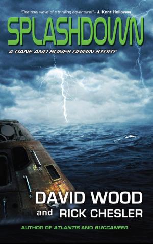 Book cover of Splashdown