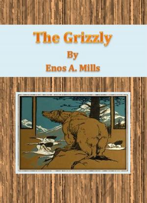 Cover of the book The Grizzly by Gustave Aimard