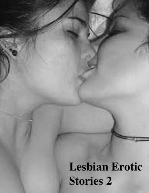 Cover of the book Lesbian Erotic Stories 2 by V.T.