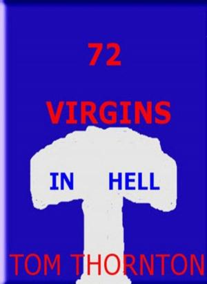 Book cover of 72 VIRGINS IN HELL