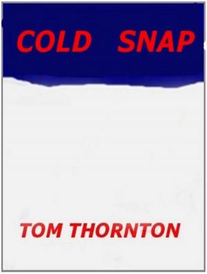 Book cover of COLD SNAP