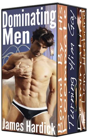 Cover of the book Dominating Men: Three Stories by James Hardick