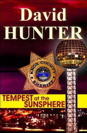 Cover of the book Tempest at the Sunsphere by David Hunter