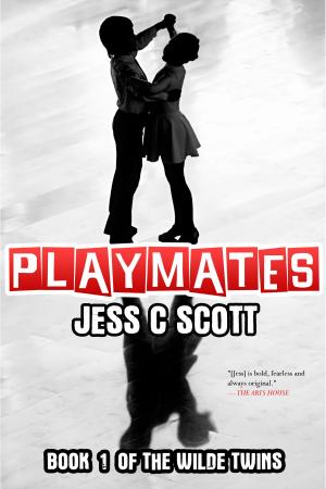 Cover of the book Playmates (Psychological Thriller) by Lynn E. O'Connacht