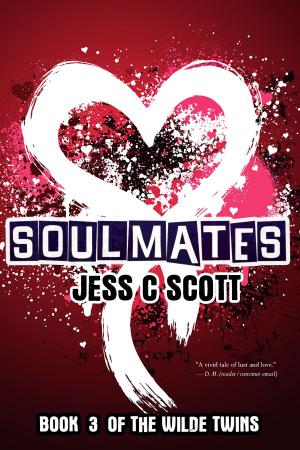 Cover of the book Soulmates by Kester James Finley