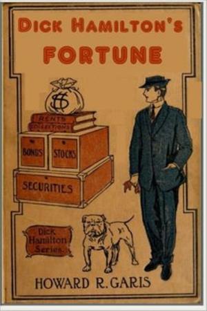 Cover of the book Dick Hamilton's Fortune by Janet D. Wheeler