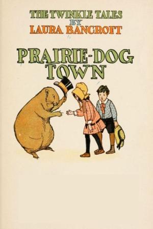 Cover of the book Prairie-Dog Town by George Manville Fenn