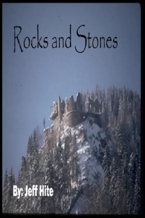 Cover of the book Rocks and Stones by Bruno Ribeiro, Wander Shirukaya
