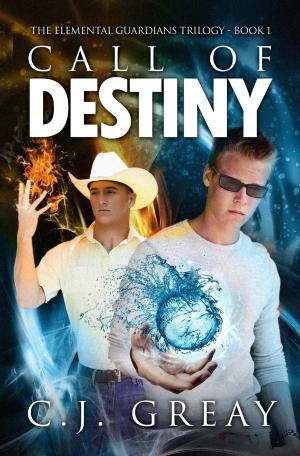 Cover of the book Call of Destiny by Nancy Holder, Debbie Viguié