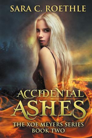 Cover of the book Accidental Ashes by Janie Lynn Panagopoulos
