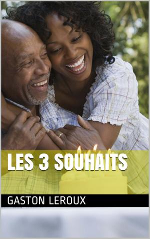 Cover of the book Les 3 souhaits by Sigmund Freud