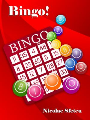 bigCover of the book Bingo! by 