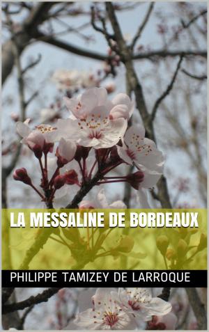 Cover of the book LA MESSALINE DE BORDEAUX by benjamin FRANKLIN