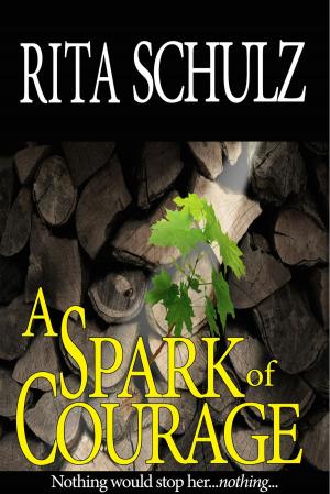 Book cover of A Spark of Courage