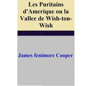 Cover of Les Puritains d'Amerique ou la Vallee de Wish-ton-Wish by James Fenimore Cooper, James Fenimore Cooper