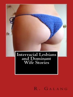 Cover of Interracial Lesbians and Dominant Wife Stories