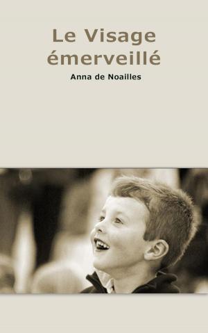 Cover of the book Le Visage émerveillé by Charles Sorel