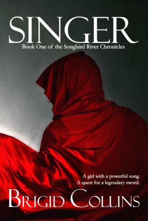 Book cover of Singer