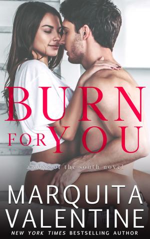 Book cover of Burn For You