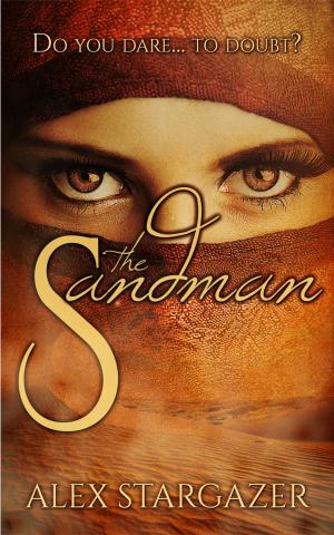 Cover of the book The Sandman by R M Garcia