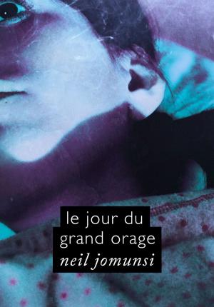 Cover of Le Jour du grand orage (Projet Bradbury, #36)
