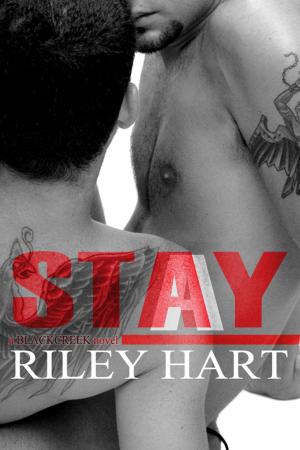 Cover of the book Stay by Violet Winspear
