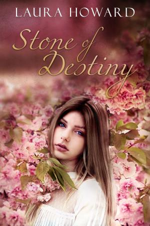 Cover of the book Stone of Destiny: Book 2 by Lori Osterberg