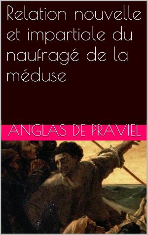 Cover of the book Relation nouvelle et impartiale du naufragé de la méduse by Alfred Musset