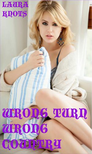Cover of the book Wrong Turn Wrong Country by Claire Brodie