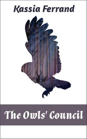 Cover of the book The Owls’ Council by LM Foster