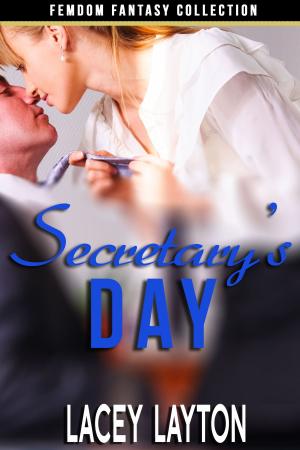 Book cover of Secretary's Day
