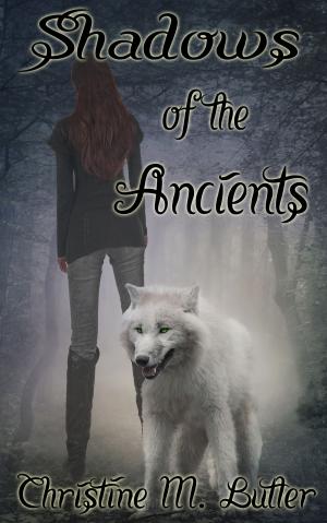 Cover of the book Shadows of the Ancients by RJ Kennett