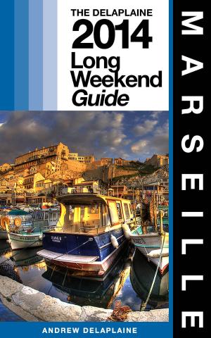 Book cover of MARSEILLE - The Delaplaine 2014 Long Weekend Guide