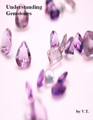 Cover of the book Understanding Gemstones by V.T.