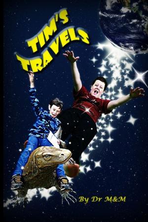 Cover of the book Tim's Travels by D.A. Karr