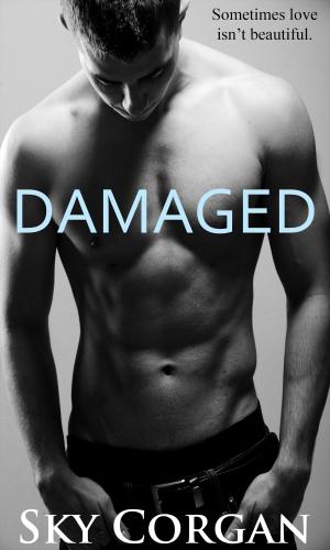 Cover of the book Damaged by Sky Corgan