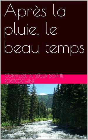 Cover of the book Après la pluie, le beau temps by Karl May