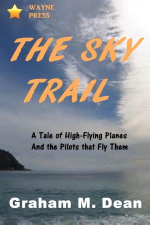 Cover of the book The Sky TRail by Burt L. Standish