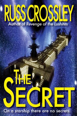 Cover of the book The Secret by Rita Schulz, Russ Crossley