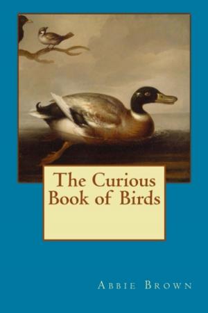 Cover of the book Curious Book of Birds by G.F Abbott