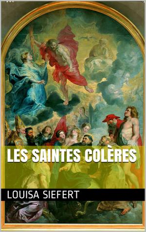 Cover of the book Les saintes colères by Pierre Alexis Ponson du Terrail
