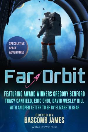 Cover of the book Far Orbit by Kristina Wojtaszek