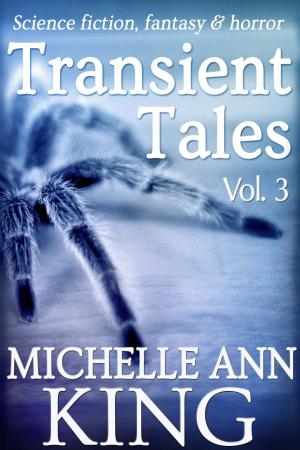 Cover of the book Transient Tales Volume 3 by Shannon Lee Martin