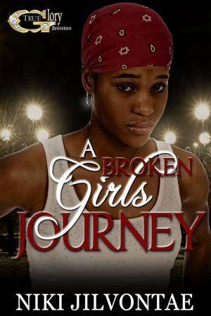 Cover of the book A broken girl's journey by Shameek Speight