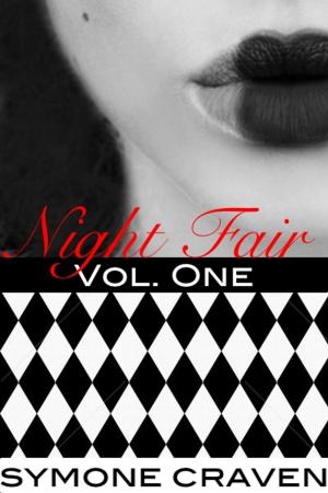 Cover of the book Night Fair by Nikki Palmer
