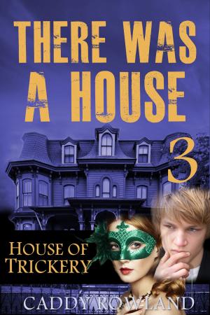 Book cover of House of Trickery