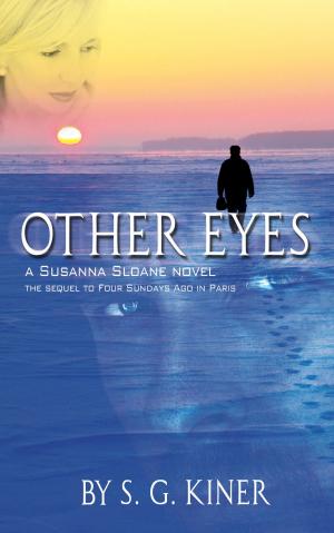 Cover of the book Other Eyes by Heather Allison